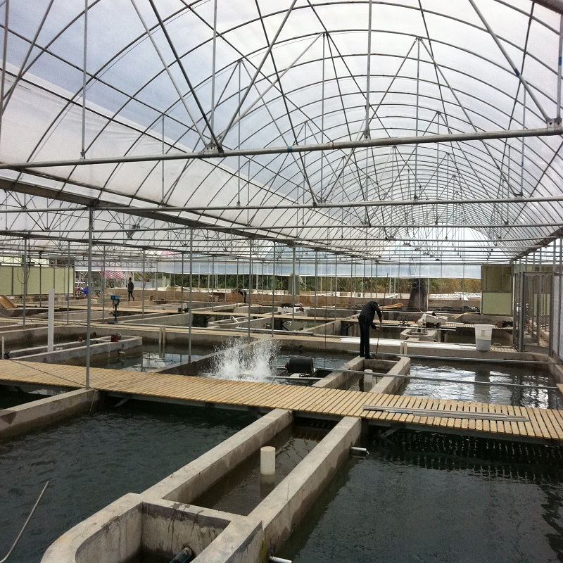 cinco métodos de aquacultura a temperatura constante, h.stars bomba de calor efetivamente resolve problemas de controle de temperatura da água